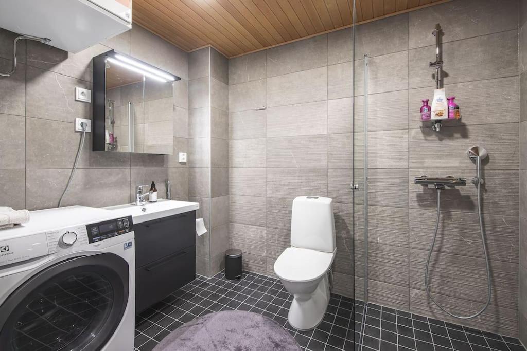 Appartement Ydinkeskustassa Saunallinen Huoneisto Kahdessa Tasossa